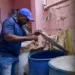 Salud Pública refuerza acciones contra el dengue y llama a eliminar criaderos desde el hogar