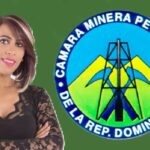 Susana Gautreau asume Vicepresidencia ejecutiva de Cámara Minera