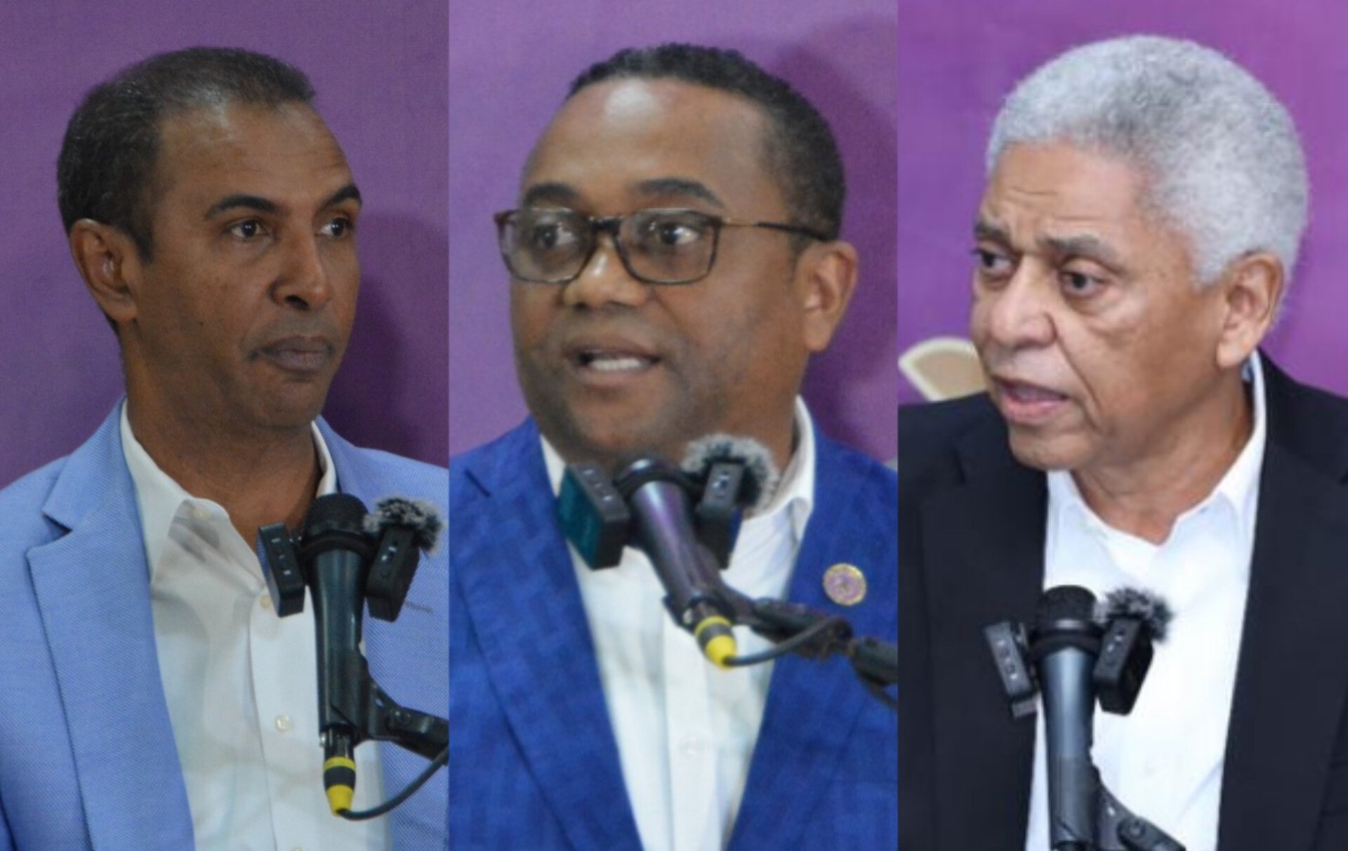 PLD: Domingo Contreras será el candidato a alcalde del DN, René Polanco, SDN y Nelson Guillén, SC