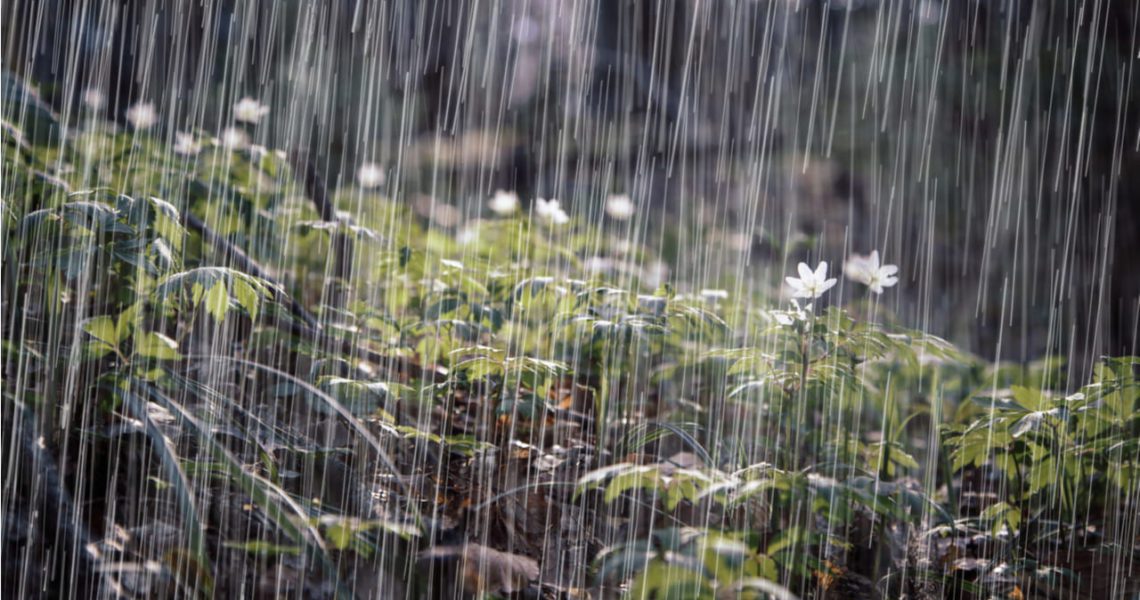 Persistencia de la Vaguada: Condiciones Húmedas e Inestables en Nuestra Área de Pronósticos. Avisos y Alertas Permanecen Vigentes