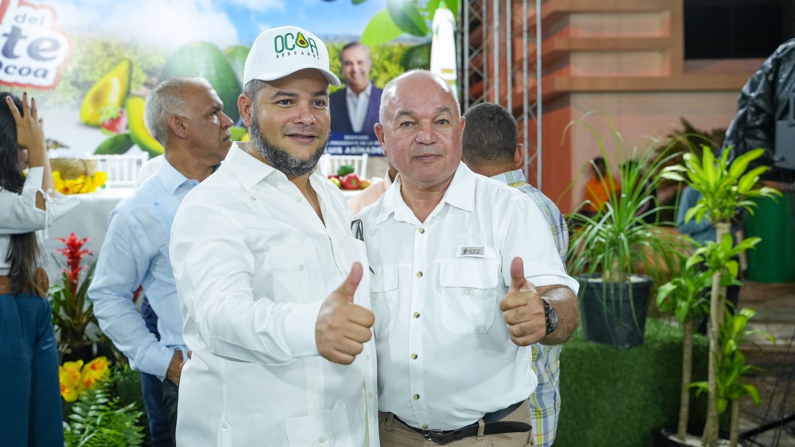 El FEDA muestra interés en aguacate