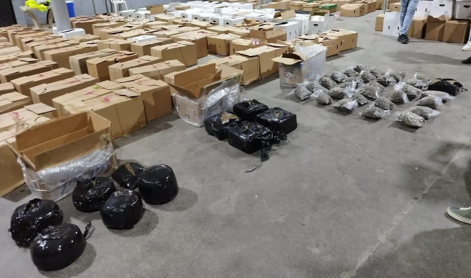 Intervención exitosa en Puerto Santo Domingo: Autoridades frustran envío de 39 paquetes de marihuana con destino a Puerto Rico