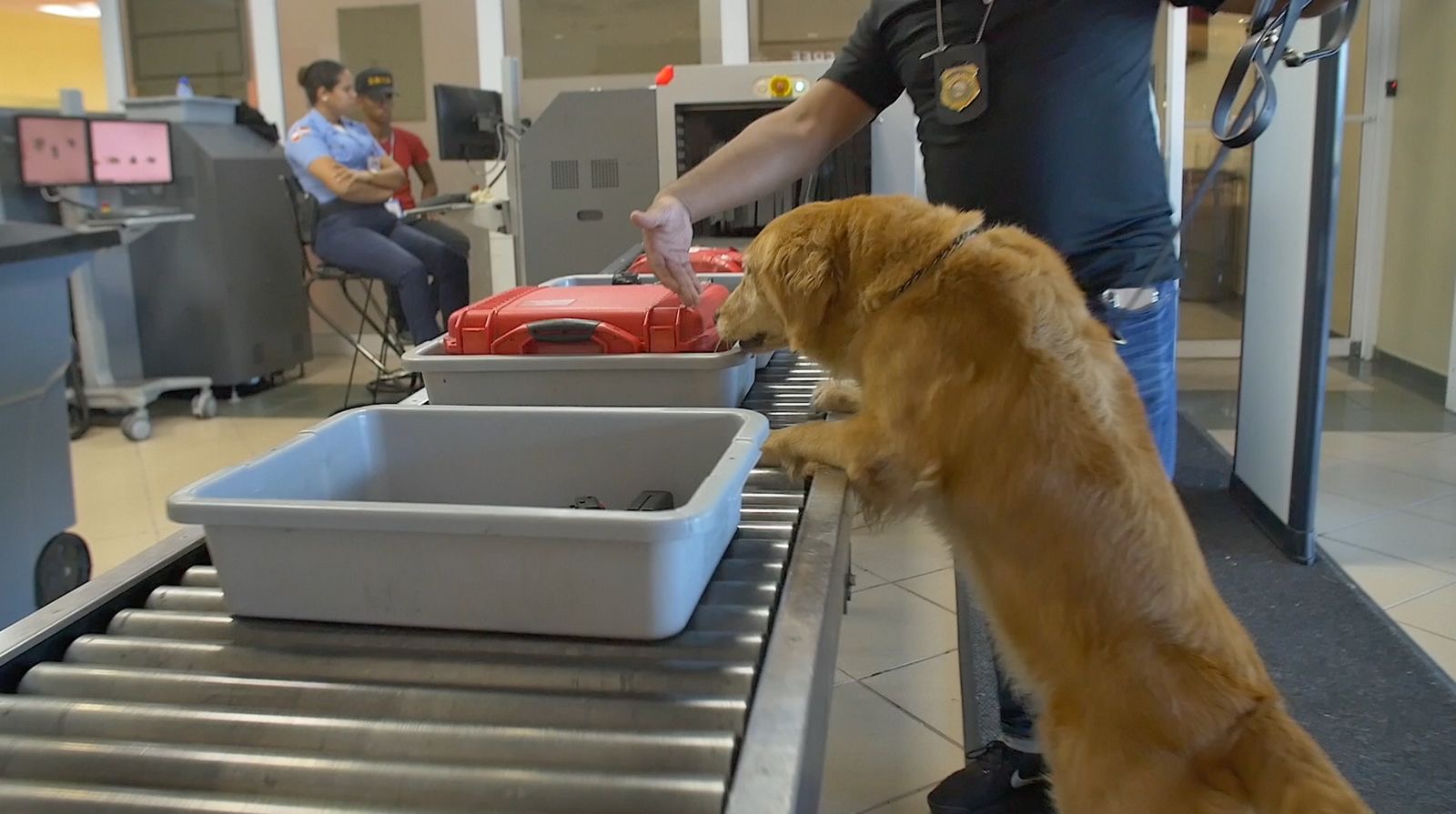 DNCD refuerza operativos contra el narcotráfico en aeropuertos, puertos y otros puntos del país