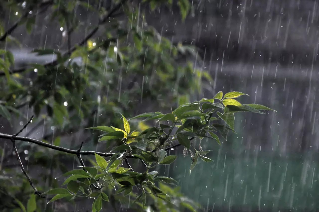 Aguaceros dispersos, tronadas aisladas y ráfagas de viento en varias provincias del país