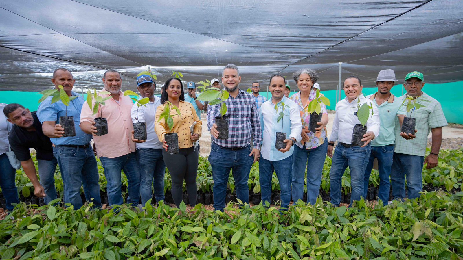 Pedernales busca aumentar y recuperar zona boscosa  Hecmilio Galvan ejecuta Salvando Las Montañas en Pedernales