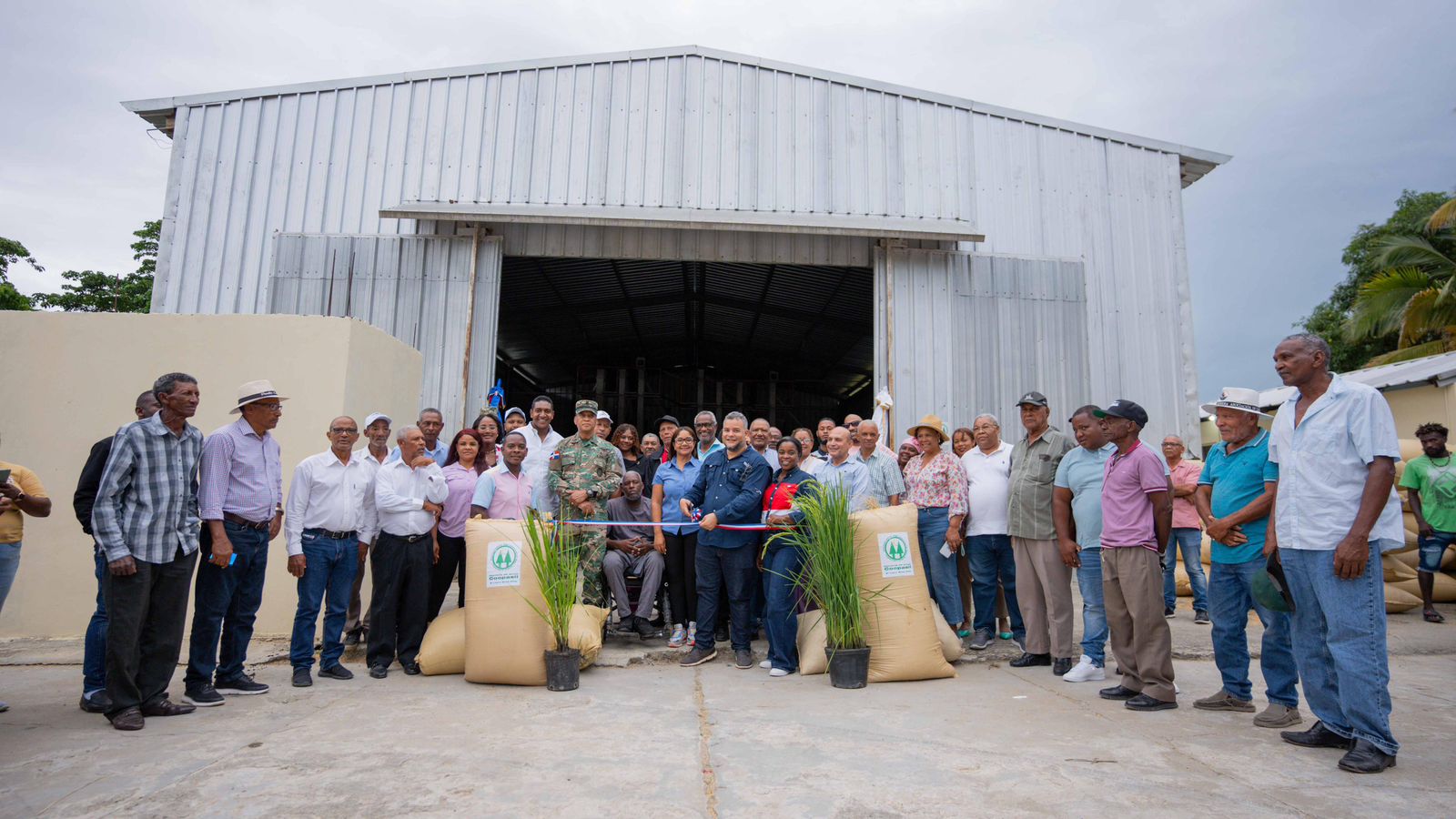 FEDA impulsa cultivo del arroz para garantizando seguridad alimentaria