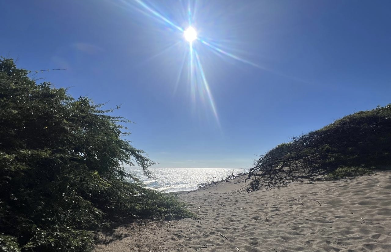 Temperaturas calurosas en las próximas 48 horas; polvo del Sahara mantendrá cielo grisáceo y nubosidad escasa