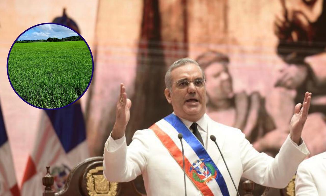 Presidente Luis Abinader resalta en discurso de segunda juramentación logros del sector agropecuario en primer cuatrienio