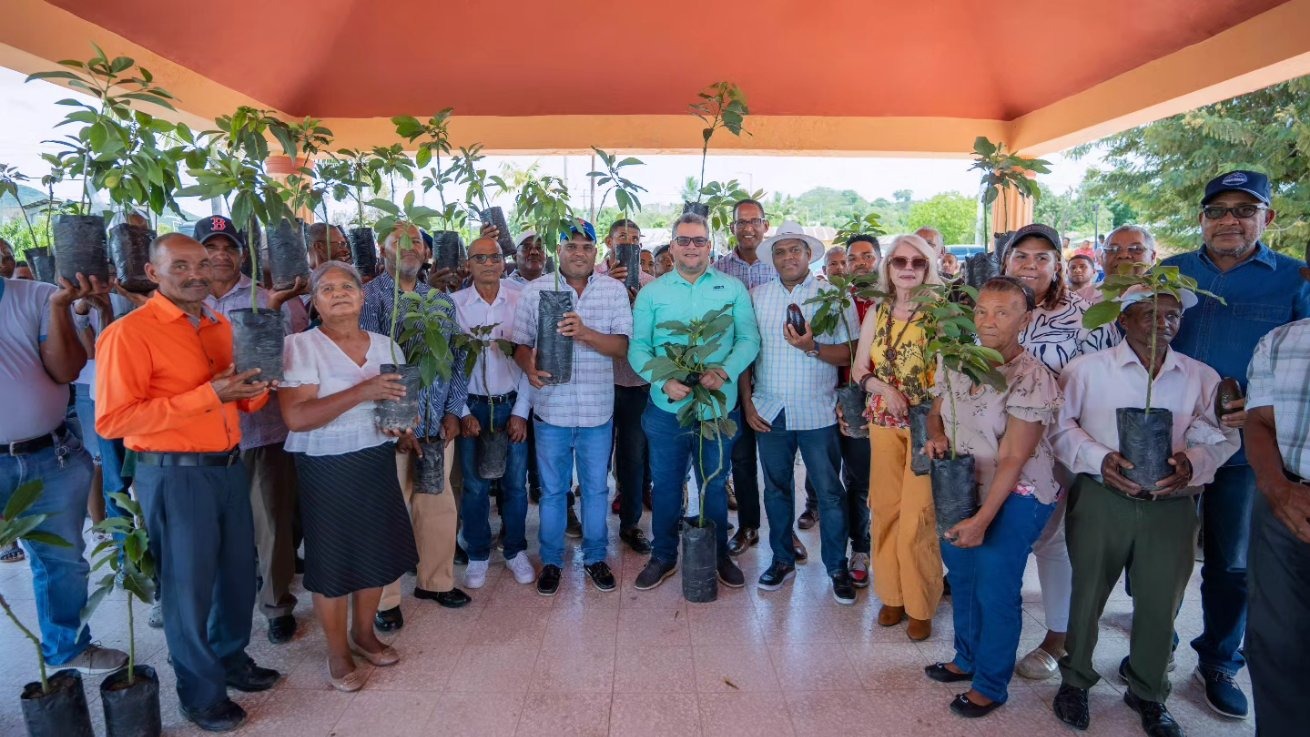 FEDA capacita y dona 10 mil plántulas de aguacate en Distrito Municipal de el Yaque