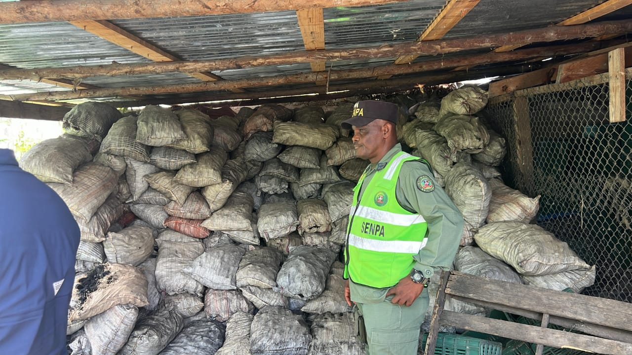 Miembros del SENPA decomisan 330 sacos de carbón vegetal