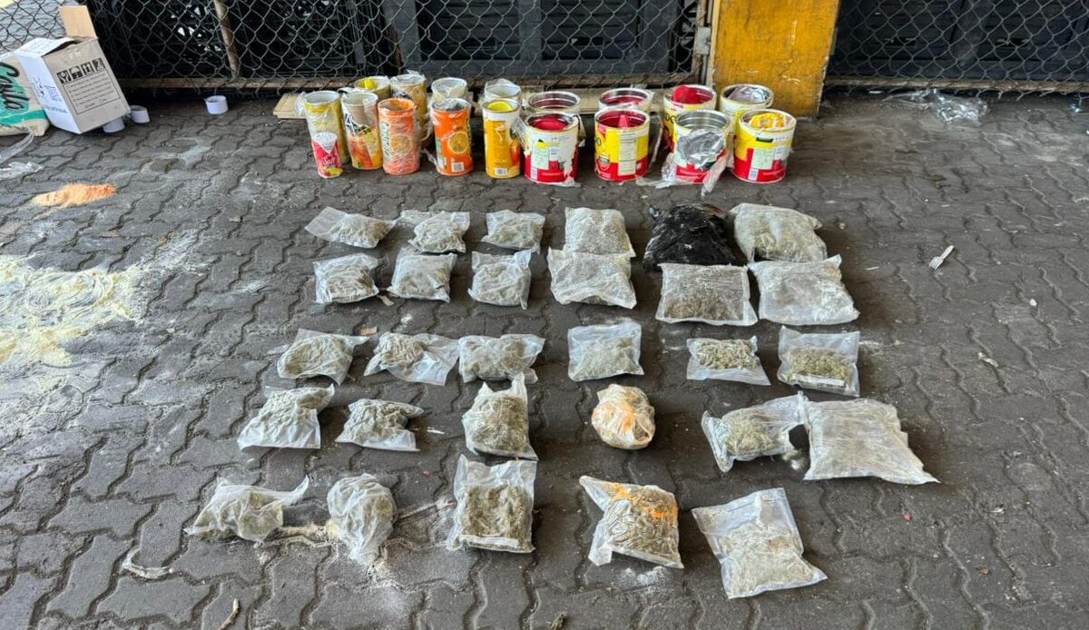 Apresan dos y ocupan 29 paquetes de marihuana camuflados en latas de leche y té frío