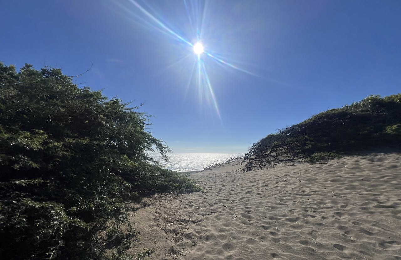 Cielo mayormente soleado en la mañana; aguaceros ocasionales por la tarde en el interior del país