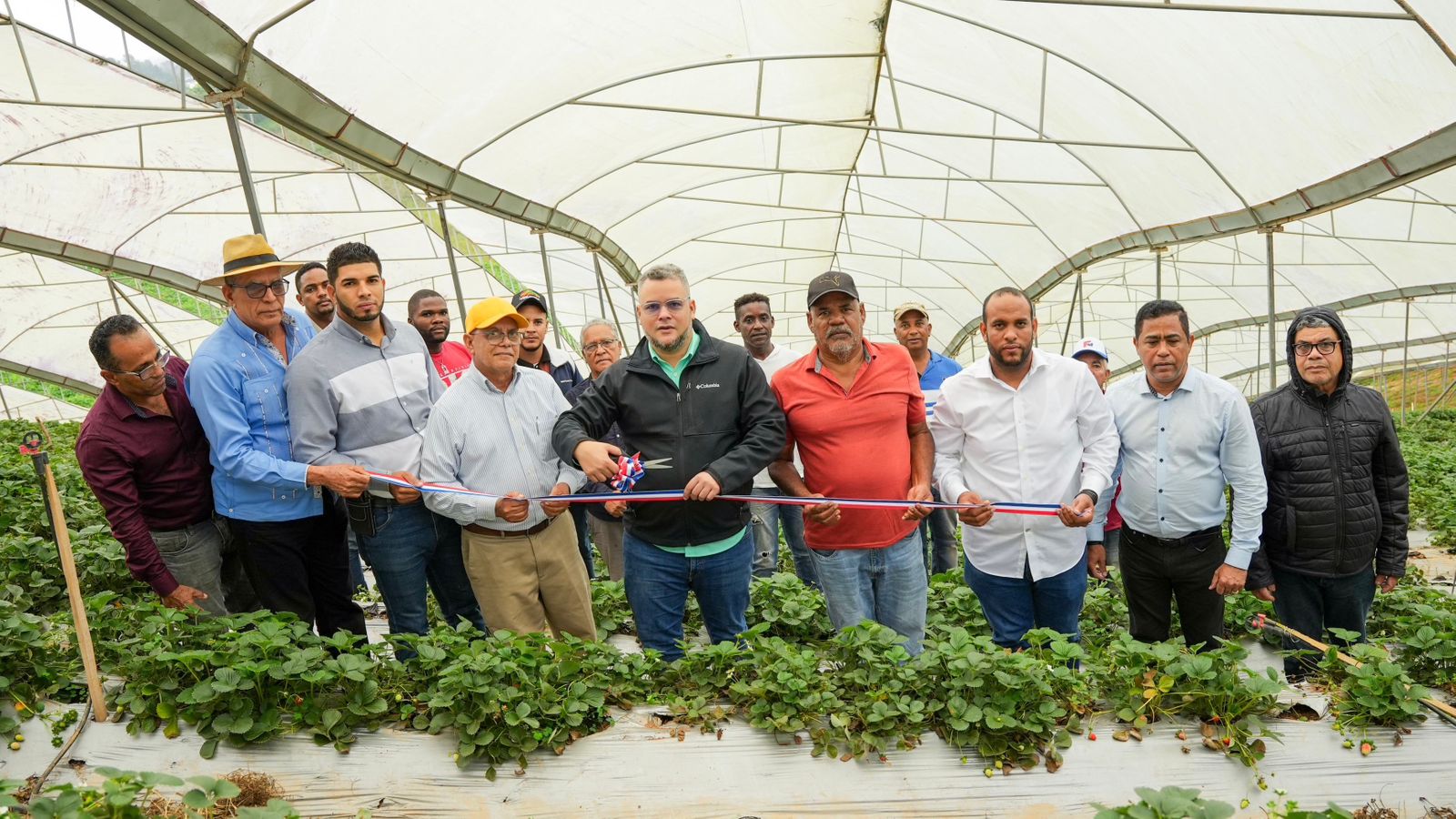 FEDA apuesta a la producción de fresas para dinamizar economía de Jarabacoa