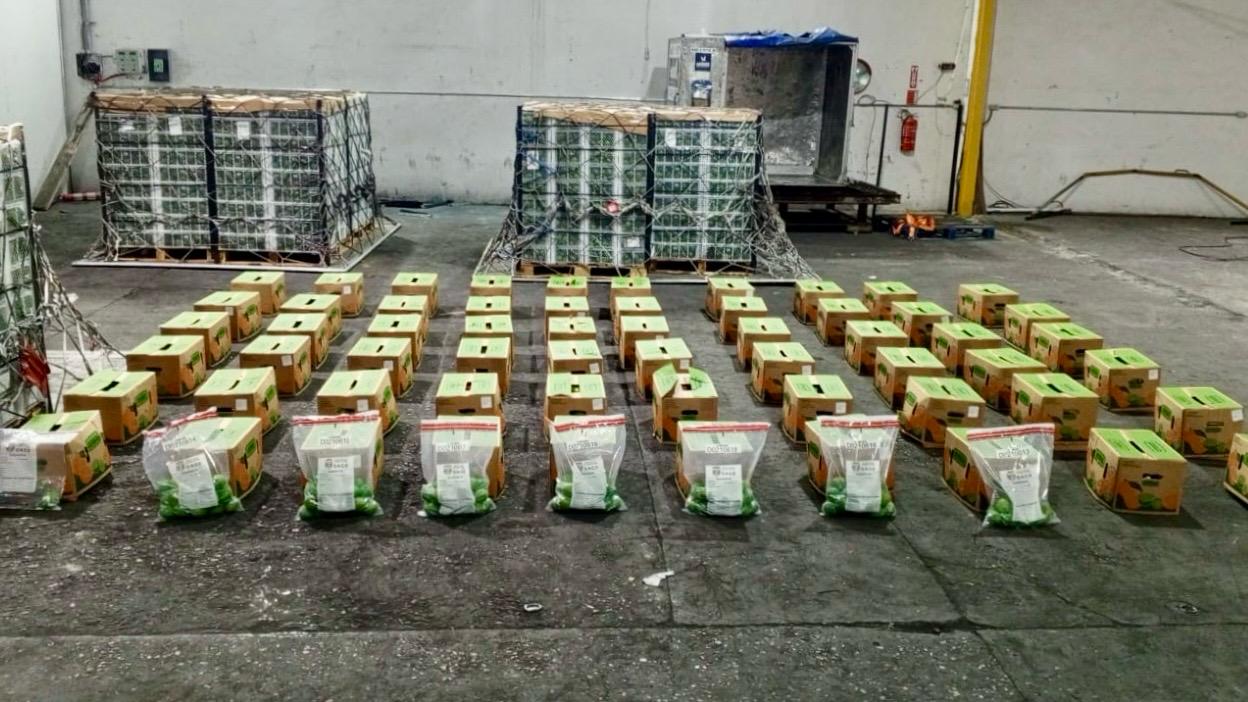 Nueva modalidad: intervienen carga con 162 limones de cerámica rellenos de cocaína