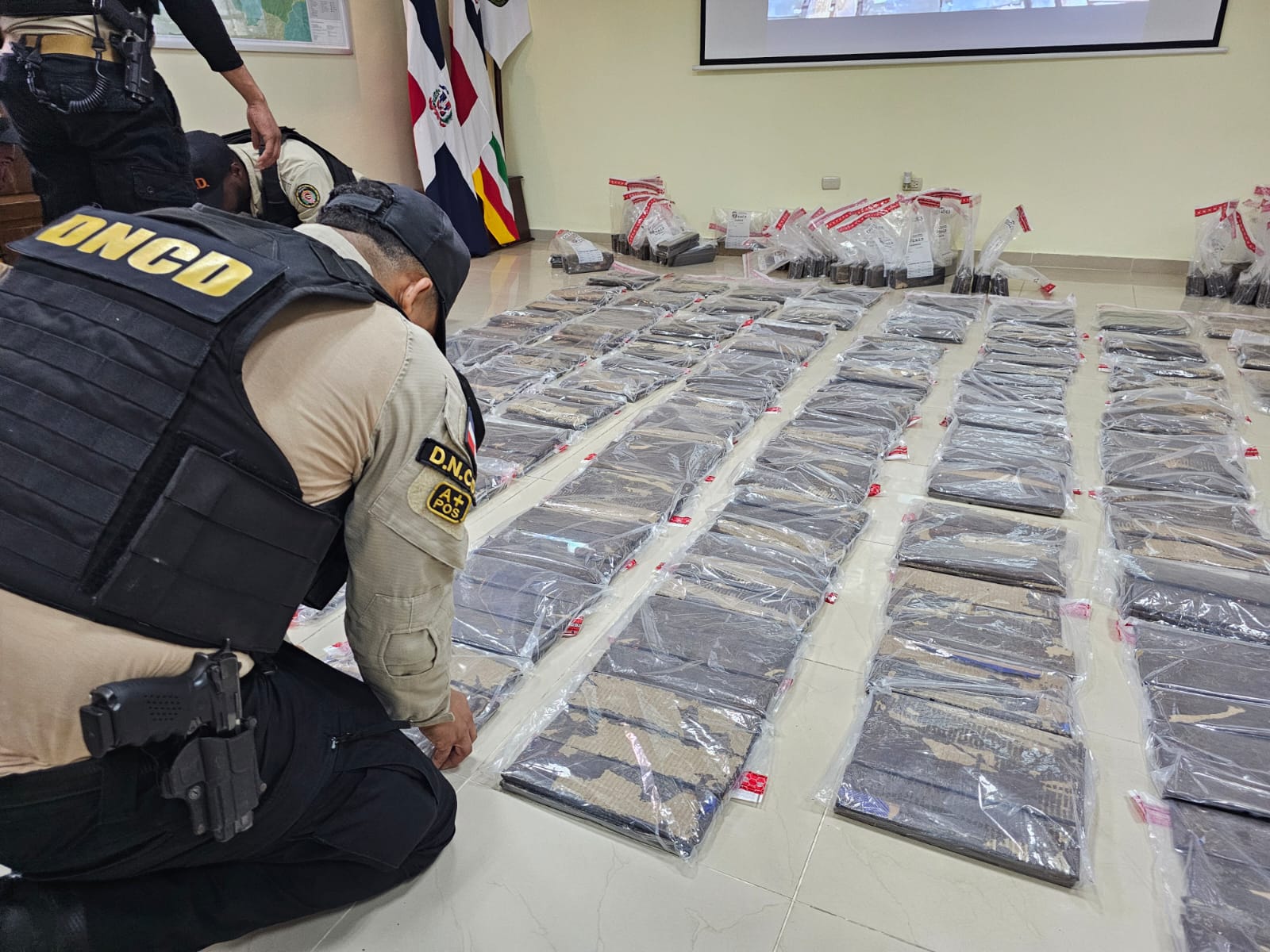 Santiago: confiscan 880 láminas presumiblemente cocaína camufladas en cajas de cartón