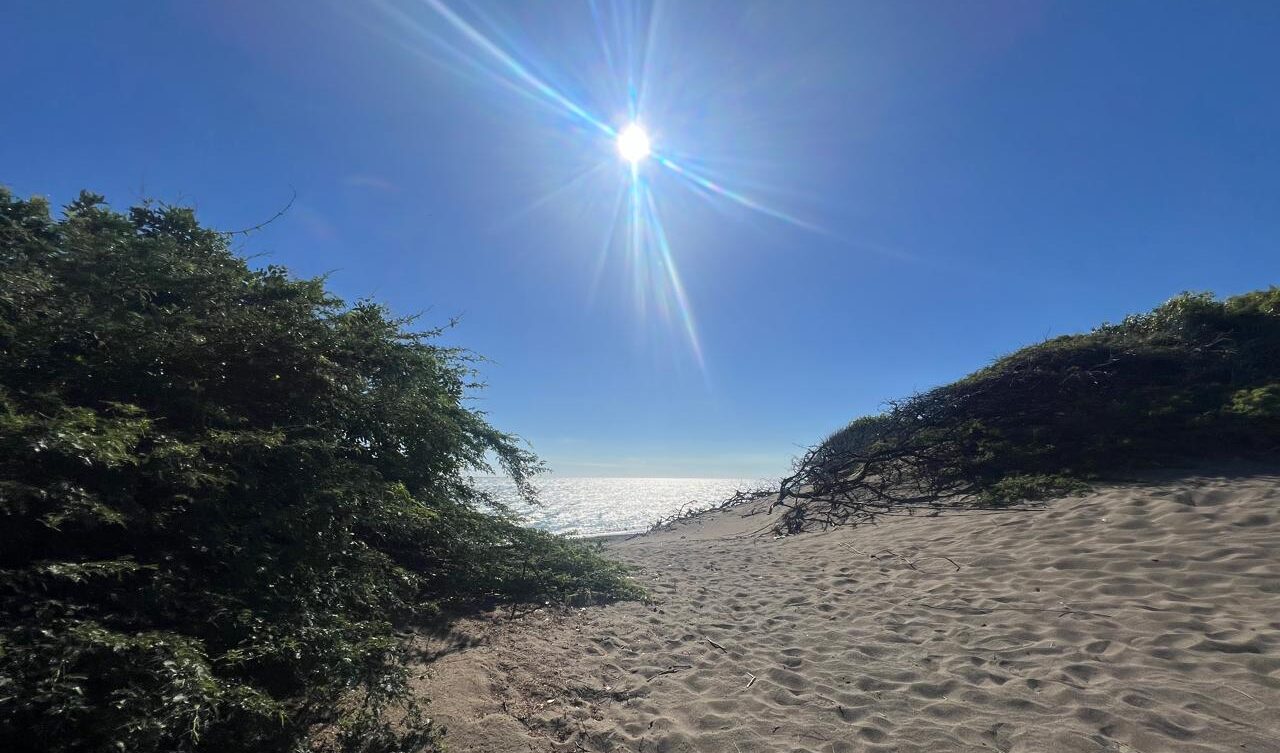 Soleado hoy, pero lluvias aumentarán mañana por sistema frontal y vaguada