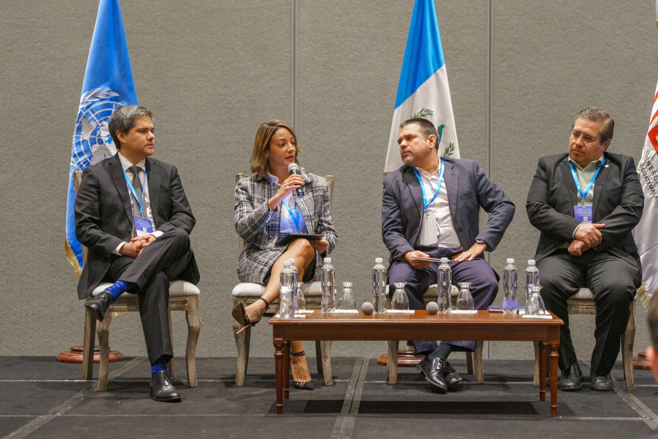 Resaltan oportunidades de República Dominicana en la transición energética