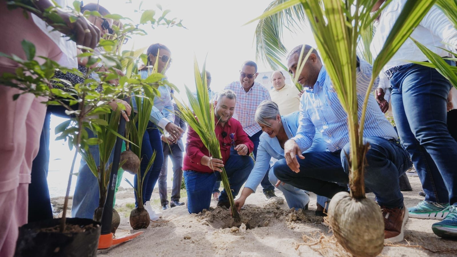San Pedro: FEDA impulsan desarrollo económico local a través de arborización y otros programas