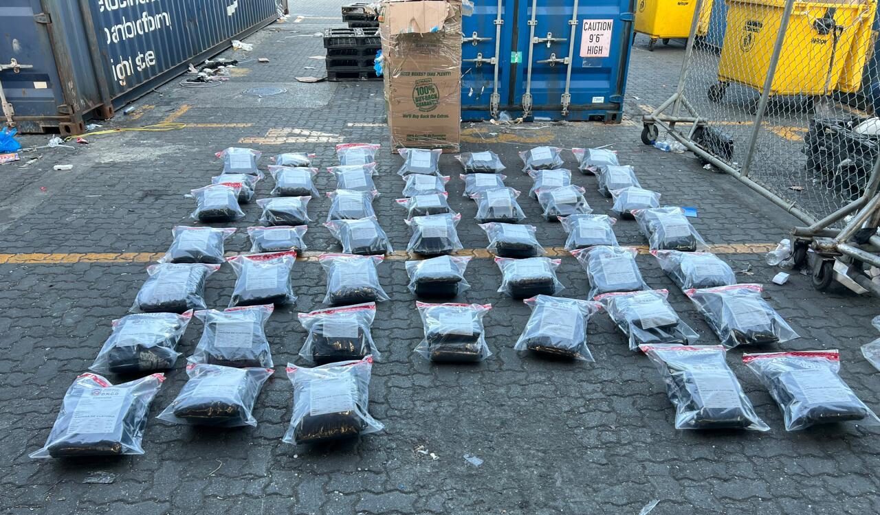 DNCD ocupa otros 95 paquetes de marihuana en Puerto Haina