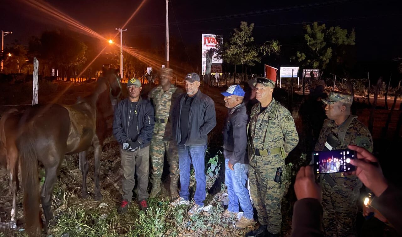 Ejército recupera ganado robado en hacienda de Dajabón