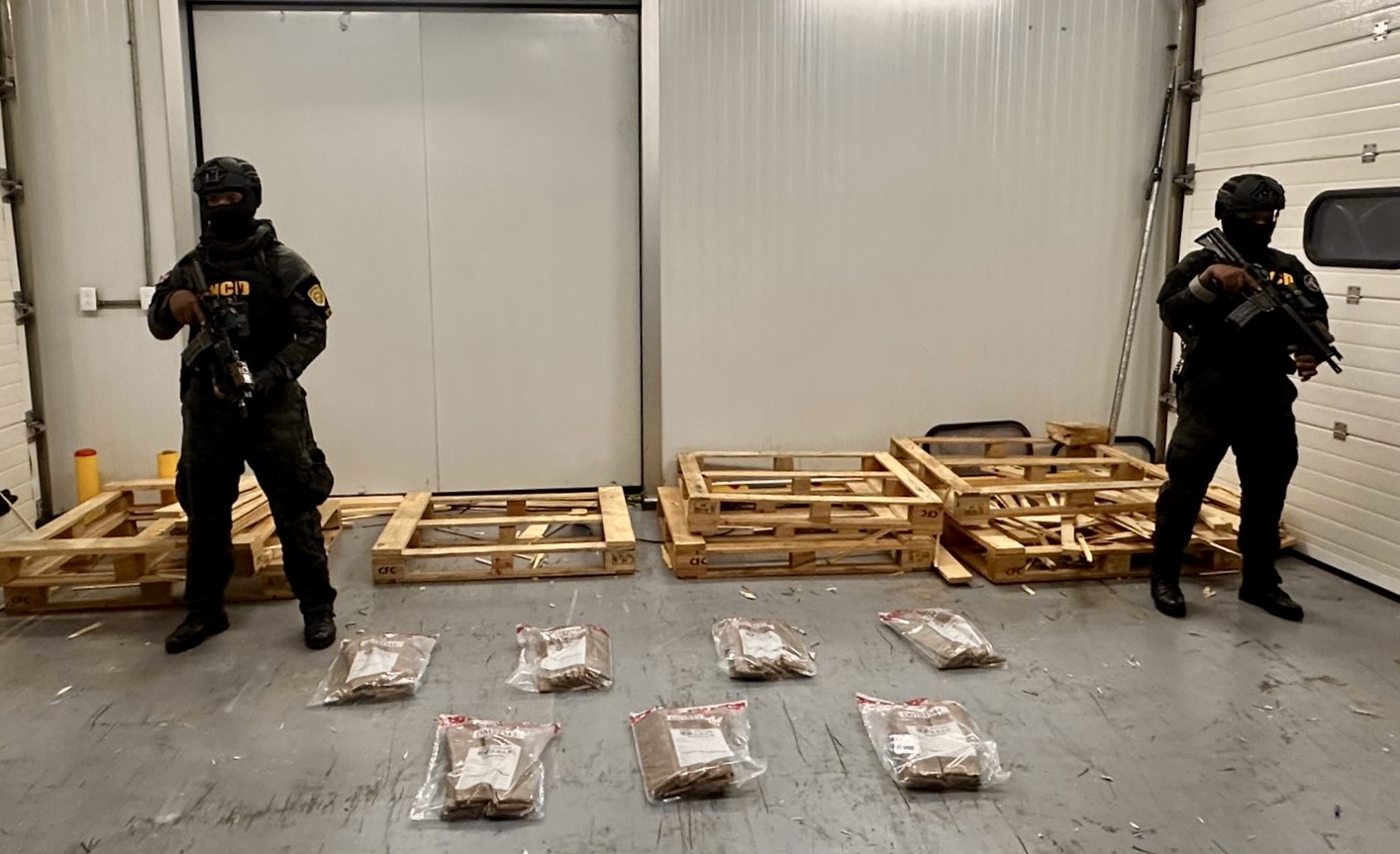 DNCD ocupa 56 láminas presumiblemente de cocaína en Puerto Caucedo; estaban camufladas en paletas de madera