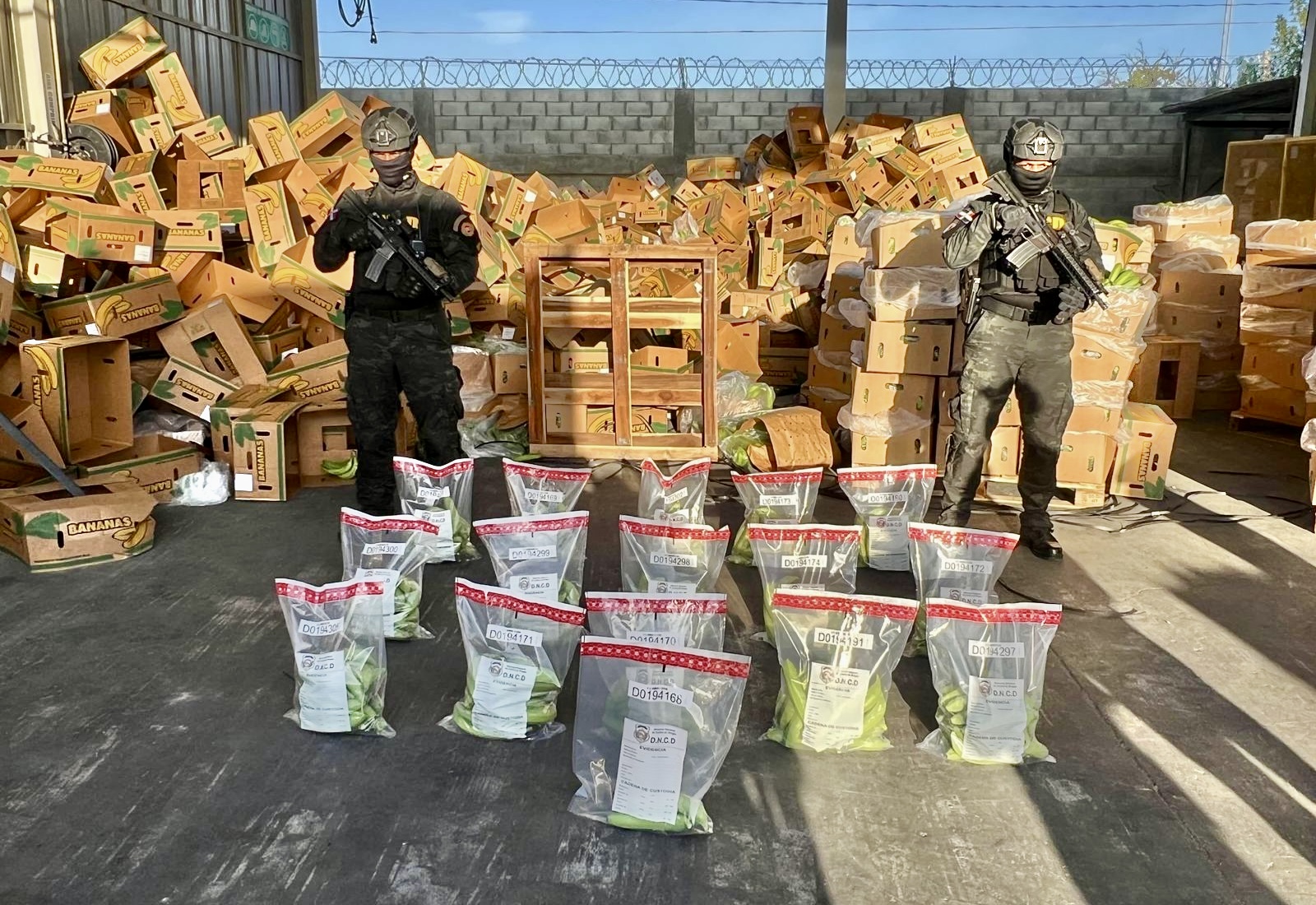 DNCD incauta 303 guineos hechos en cerámica llenos de cocaína en puerto de Manzanillo