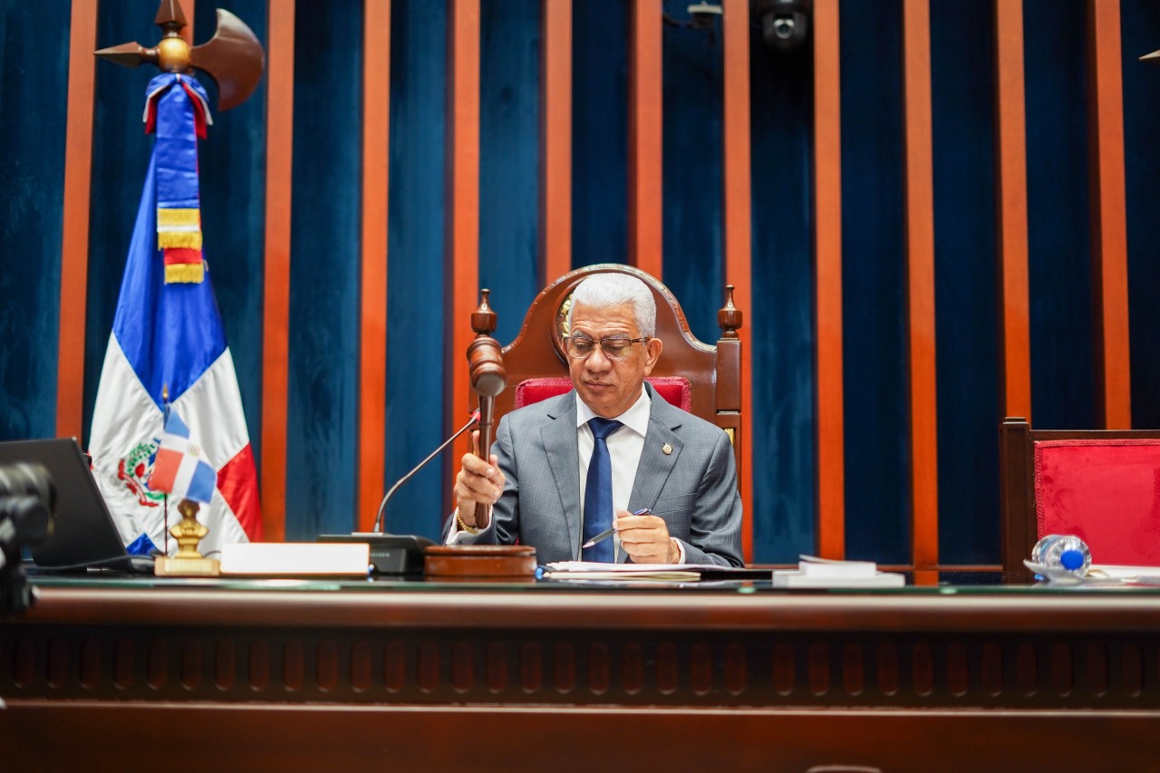 Pleno del Senado escuchará al presidente de la JCE y al director del Intrant