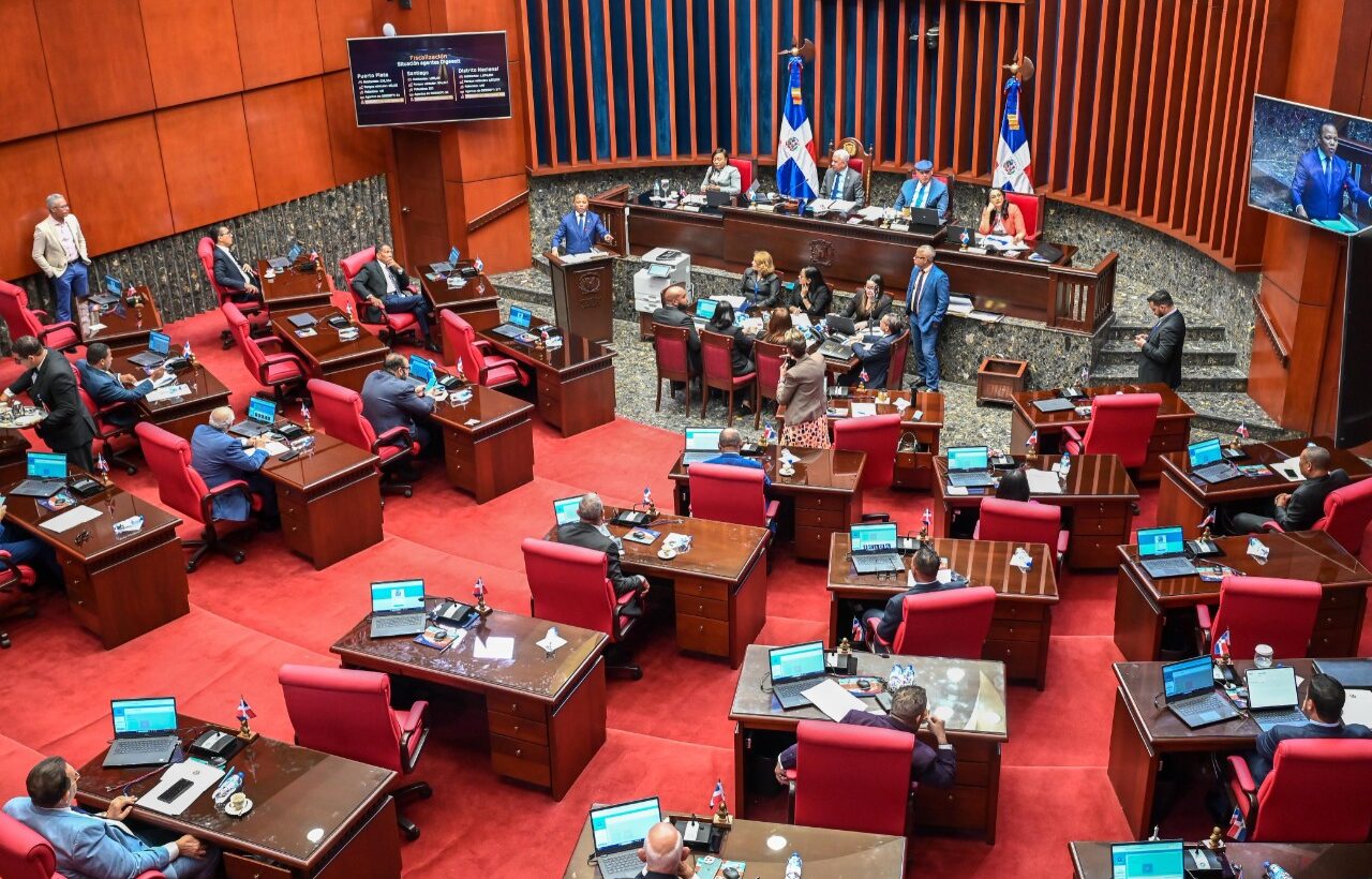 Ante Comisión General del Senado, director del INTRANT plantea modificación a la ley de tránsito