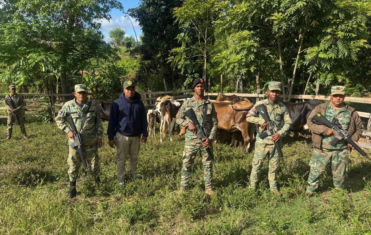 Unidades de drones y patrullas del Ejército localizan ganado reportado como robado en Dajabón