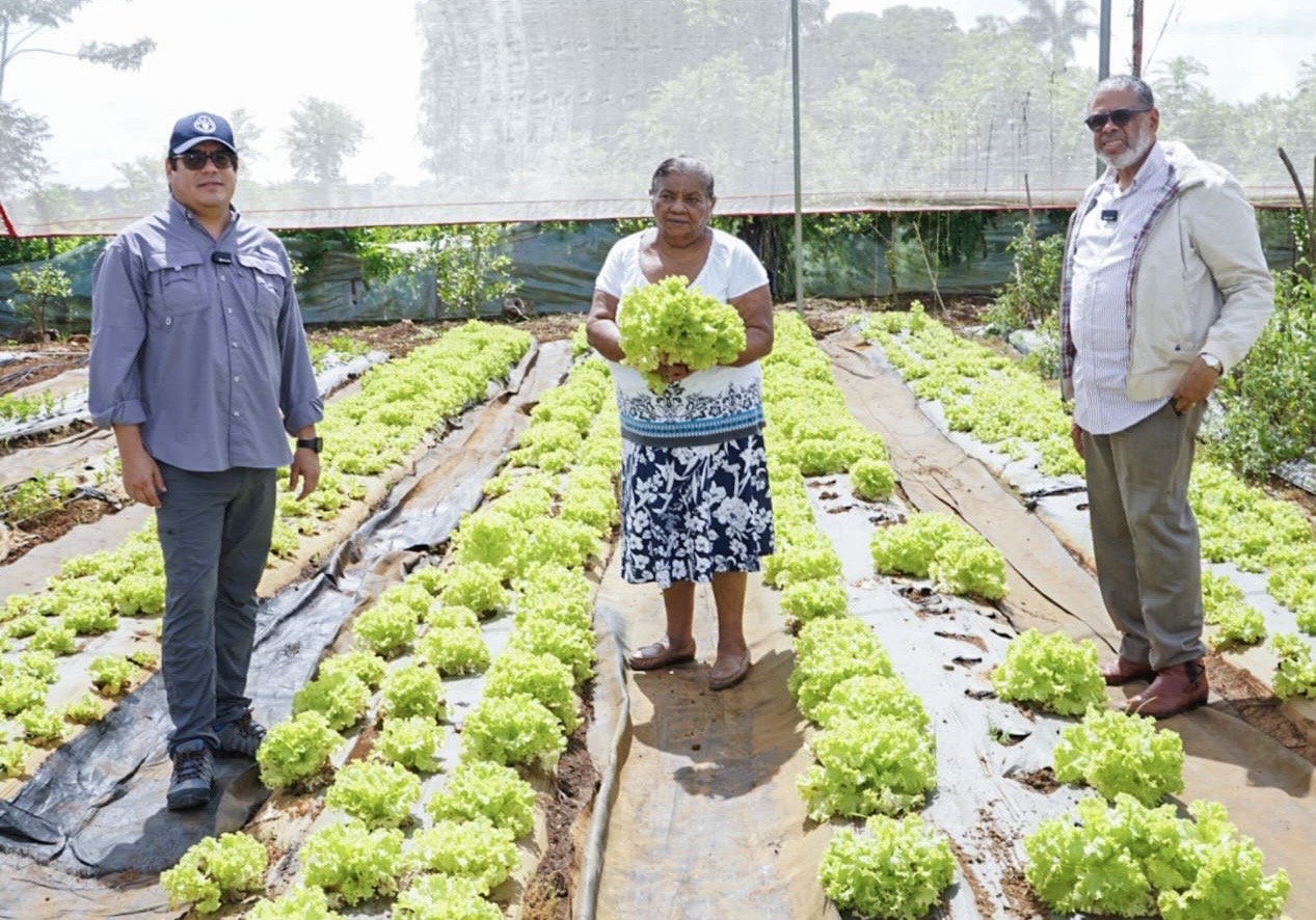 Desarrollo de la Comunidad y FAO buscan relanzar proyectos agroalimentarios