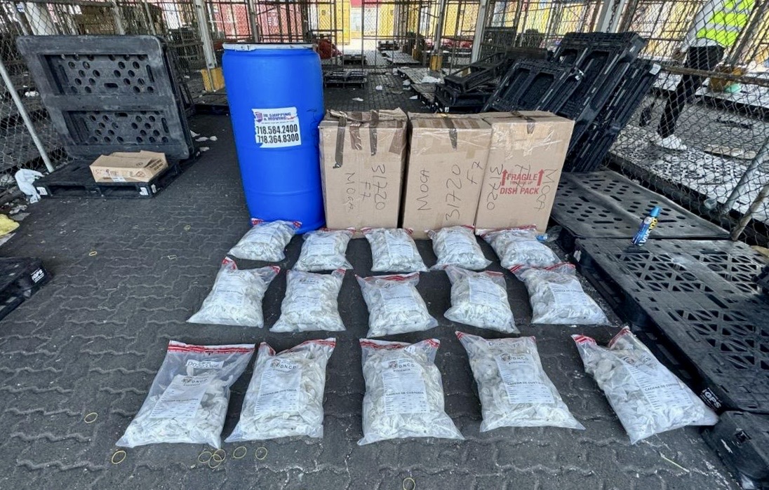 DNCD incauta en Puerto Haina más de 700 guantes con marihuana ocultos en pañales