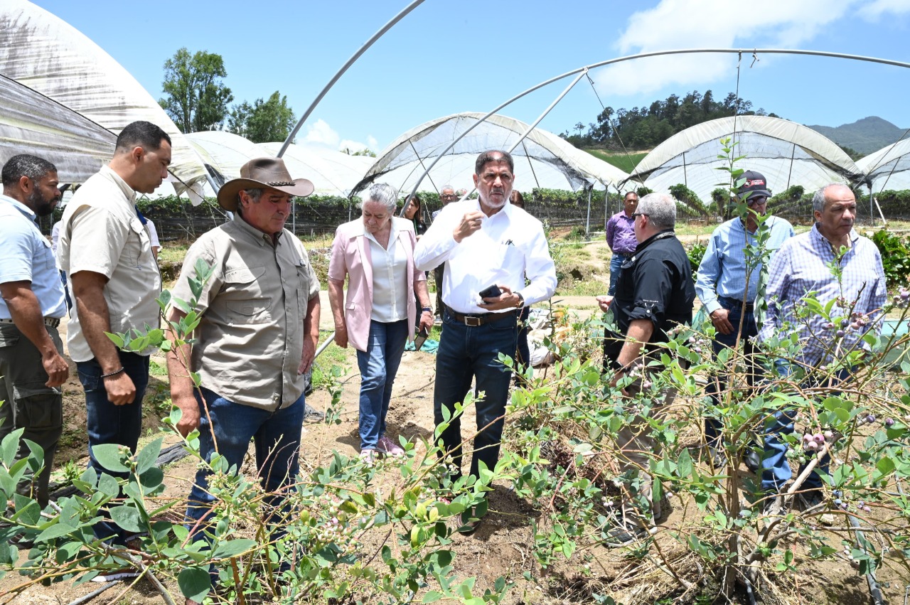 Agricultura introduce nuevos frutales: ministro Limber dice buscan ampliar y diversificar cultivos