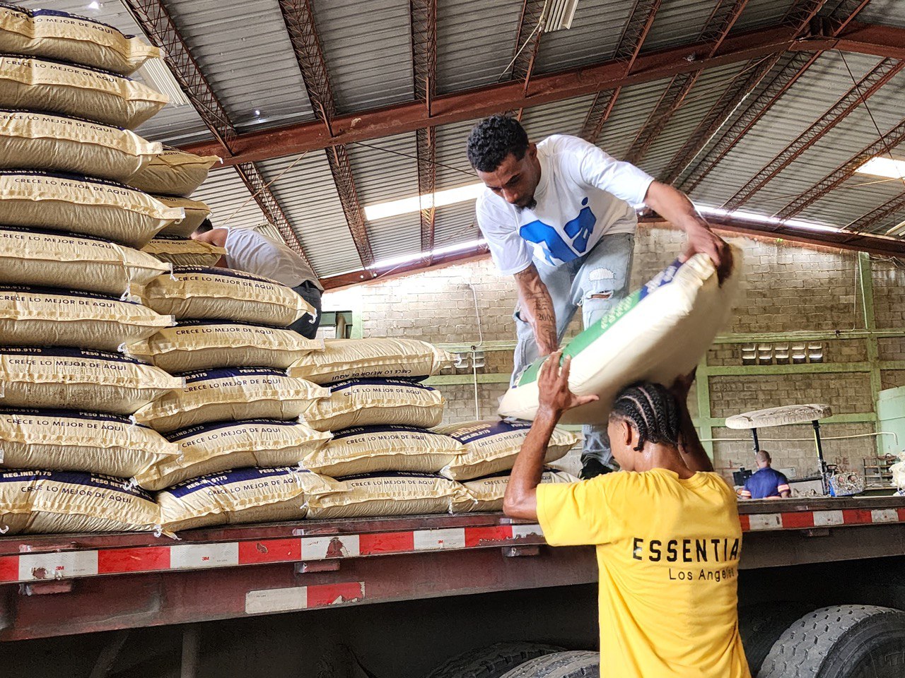 IAD adquiere 775 quintales de fertilizantes para apoyar la producción agrícola en asentamientos de Reforma Agraria