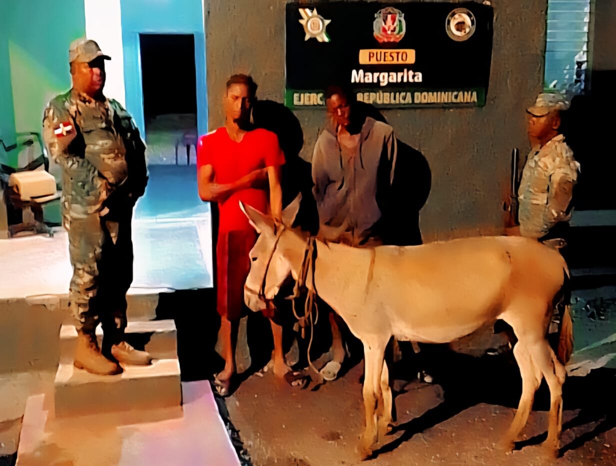 Apresan dos cuatreros sorprendidos con un burro reportado como robado en Elías Piña