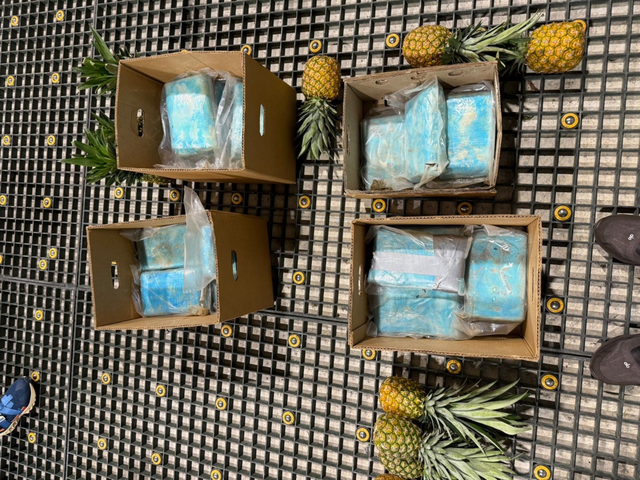 La sustancia fue confiscada en el Aeropuerto de Punta Cana y estaba camuflada en una carga de piña
