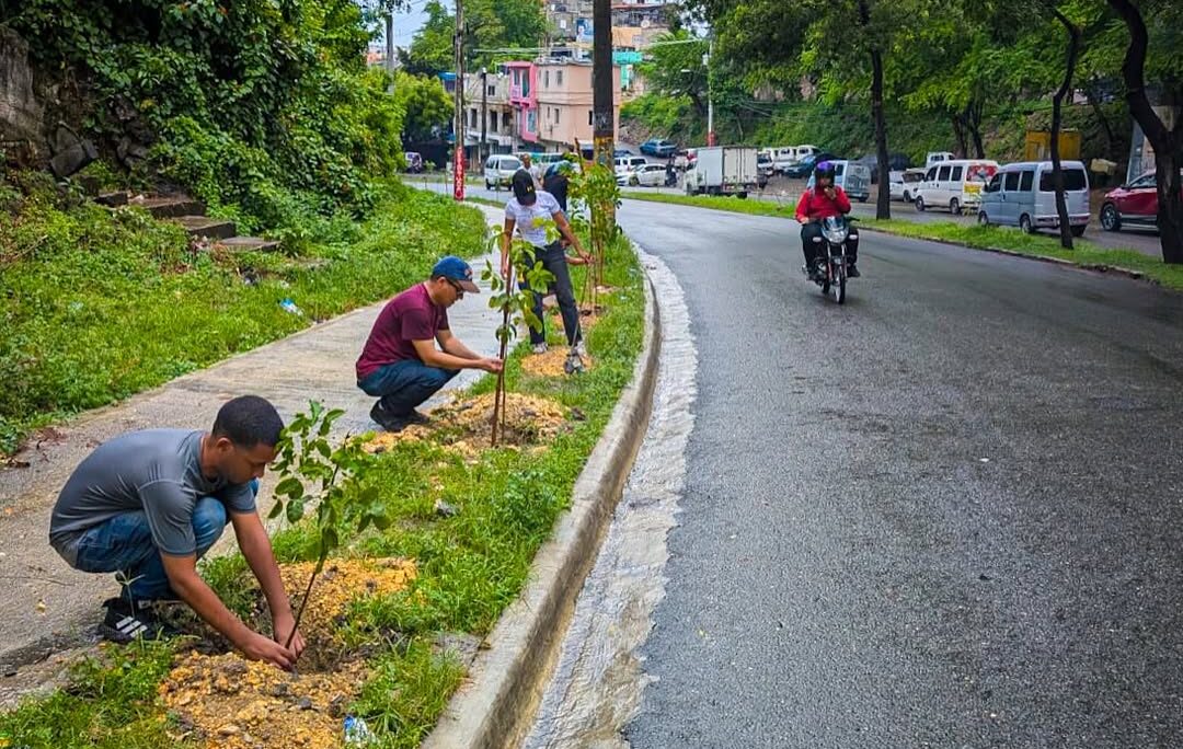 Alcaldía del DN planta 140 árboles en la avenida Paseo de los Reyes Católicos