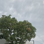 Regresan las lluvias por vaguada y onda tropical; emiten alerta en tres provincias