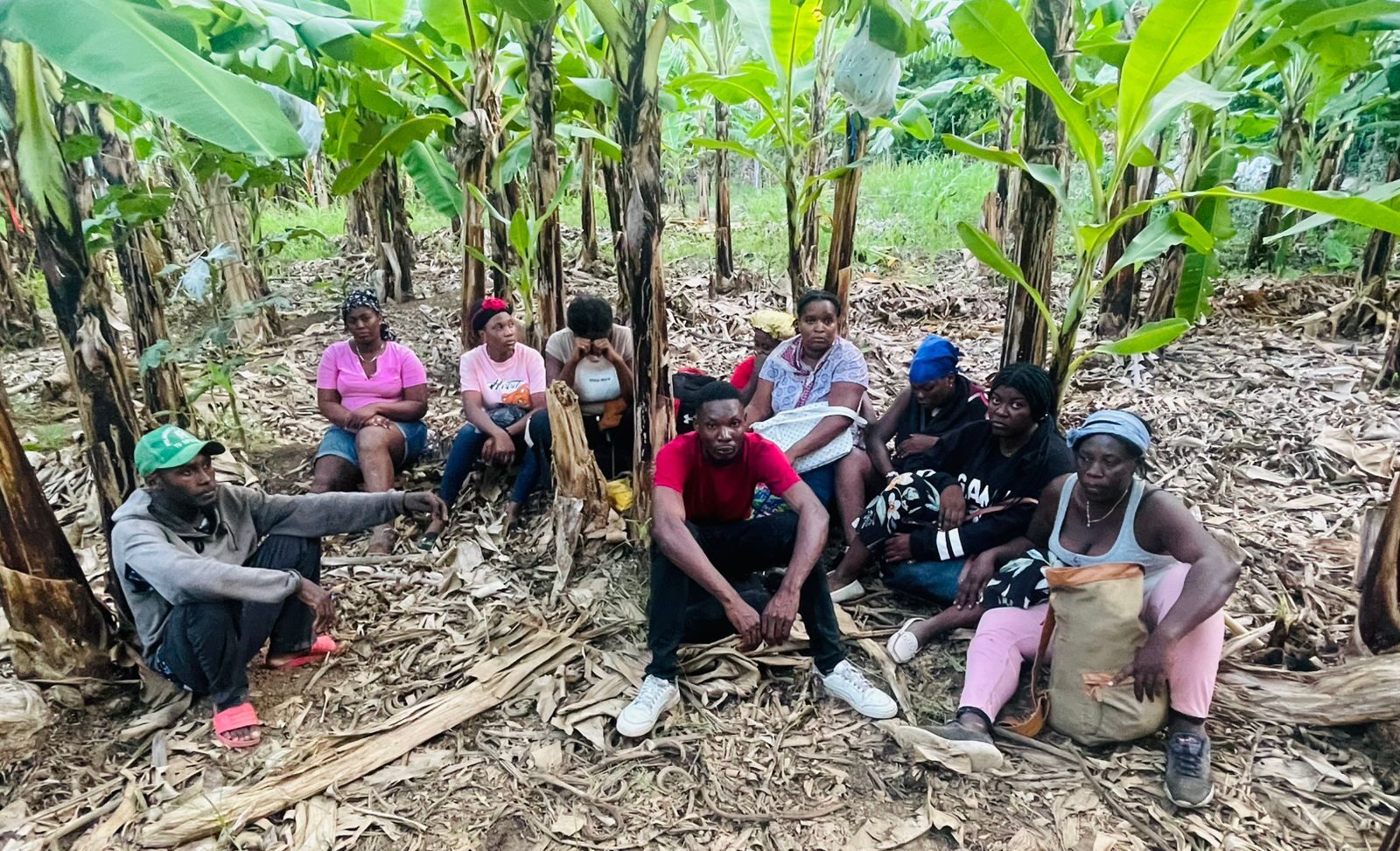 Ejército detecta con drones haitianos indocumentados que se ocultaban en una finca de bananos en Valverde