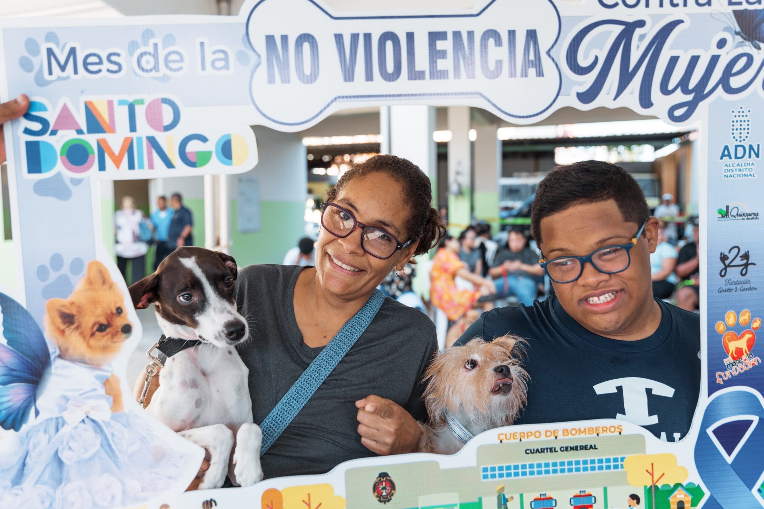 Alcaldía del DN realiza jornada gratuita de esterilización y vacunación de perros y gatos