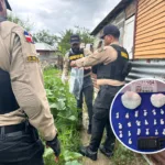 Autoridades intensifican lucha contra el microtráfico: 197 allanamientos y 488,749 gramos incautados