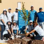 Alcaldía del DN lleva su Plan de Arbolado al sector Las Praderas