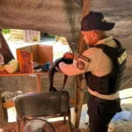 Ofensiva total contra el microtráfico: DNCD ocupa más de medio millón de gramos y 15 armas de fuego