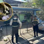 DNCD y MP apresan a “Tres Paticas”, “Chongo” y “Buchito” con cientos de gramos de cocaína, marihuana y crack