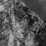 Detienen a 65 extranjeros indocumentados detectados con drones por el Ejército en Dajabón