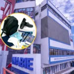 INABIE lanza procesos de compra complementaria para garantizar utilería escolar a estudiantes del Sistema Educativo Público