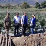 República Dominicana ejecuta la más grande y efectiva ofensiva de erradicación del Trabajo Infantil