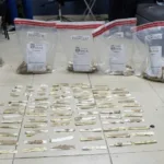 DNCD impide envío a España de 735 láminas de presunta cocaína ocultas en cajas de cartón