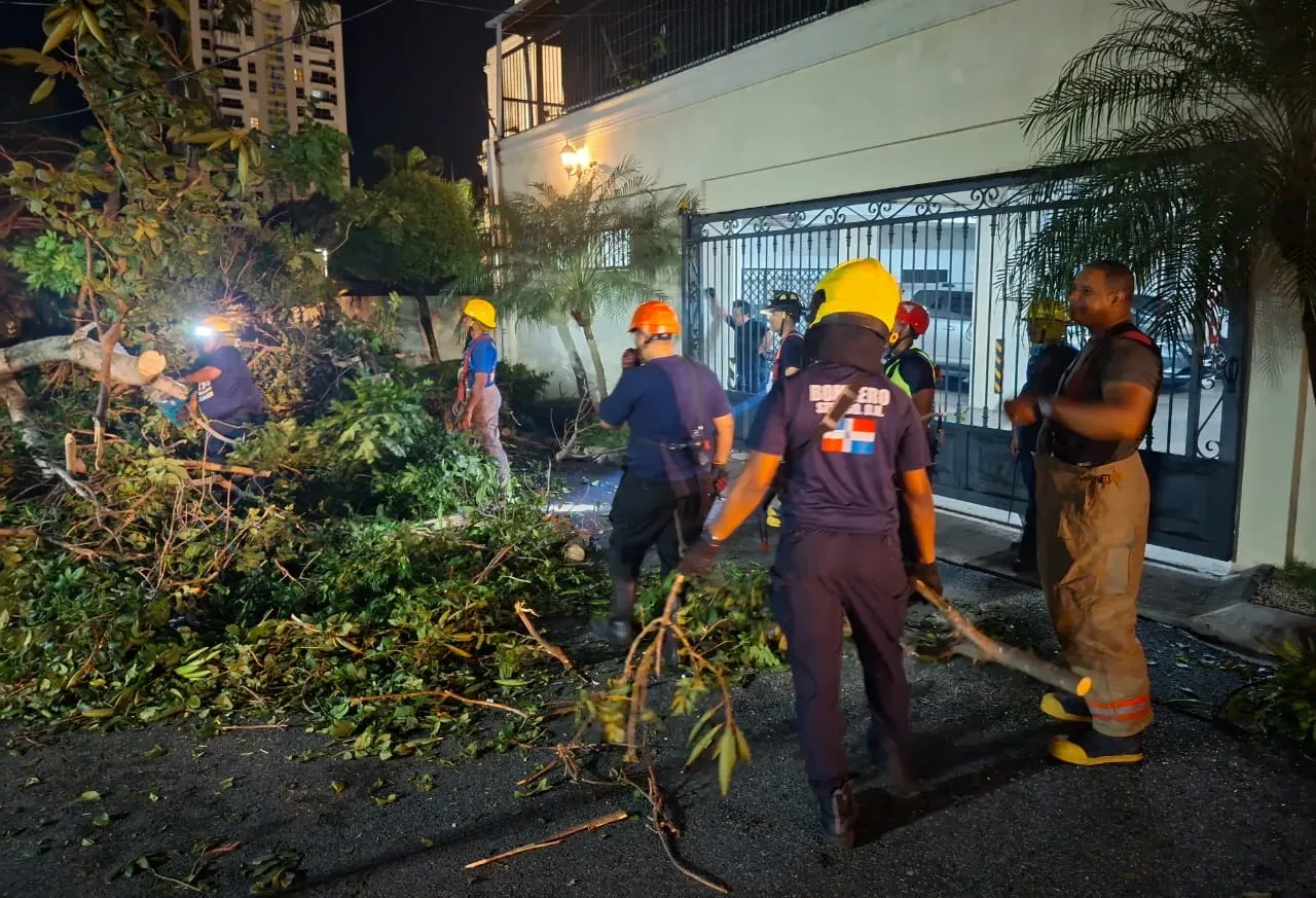 Bomberos y Alcaldía del Distrito Nacional retiran árboles caídos tras fuertes vientos