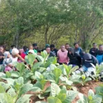 En zona boscosa de Dajabón el Ejército detiene a 23 haitianos indocumentados