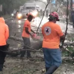 Senador Ricardo de los Santos anuncia llegada inmediata de ayudas a zonas afectadas por ventarrón en Sánchez Ramírez
